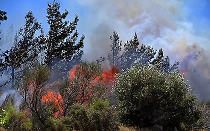 Σε ύφεση οι πυρκαγιές – Συνελήφθη 57χρονος για τη φωτιά στα Στύρα Ευβοίας