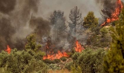 Πύρινα μέτωπα σε Χαλκιδική, Επίδαυρο και Εύβοια – Απογειώθηκαν τα εναέρια μέσα
