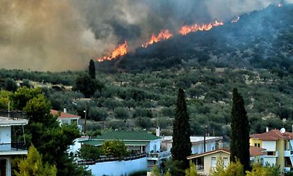 Καλή η εικόνα από την πυρκαγιά στο Ναύπλιο - Σε ύφεση η φωτιά στη Νέα Αλμυρή Κορινθίας