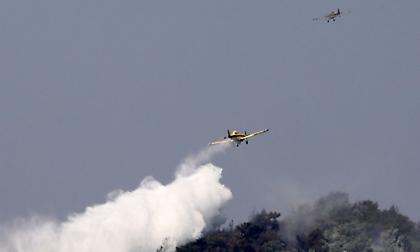 Πάτρα: Σε ύφεση η φωτιά στην περιοχή Δροσιά της Αχαΐας