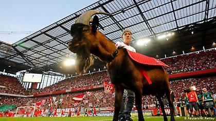 Το κουίζ της ημέρας: Τράγοι, νυχτερίδες, αετοί... Ξέρεις τα παρατσούκλια των ευρωπαϊκών ομάδων;