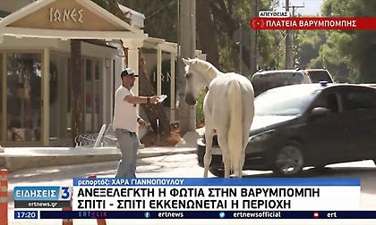 Απίστευτο: Άλογα έφτασαν στην πλατεία της Βαρυμπόμπης για να σωθούν από τη φωτιά!