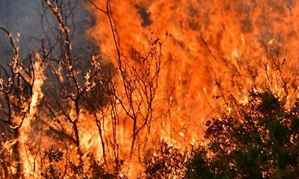 Μαίνεται η φωτιά στην Εύβοια: Δυτικά της Λίμνης προς τις Ροβιές κινείται το πύρινο μέτωπο