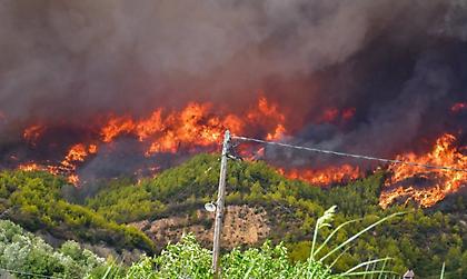 Ολονύχτια μάχη με τις φλόγες σε Εύβοια και Αρχαία Ολυμπία