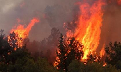 ΓΓΠΠ: Πολύ υψηλός κίνδυνος πυρκαγιάς για αύριο, Πέμπτη 5 Αυγούστου