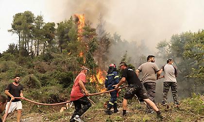 Σε κατάσταση εκτάκτου ανάγκης η Λίμνη Ευβοίας
