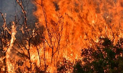 Φωτιά-Βόρεια Εύβοια: Αγωνία για τα χωριά Αμέλαντες, Σκεπαστή που τα κυκλώνουν οι φλόγες