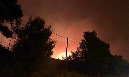 Μήνυμα 112 σε Πολυδένδρι, Καπανδρίτι, Ταξιάρχες, Άγ. Γεώργιο και Πουρίθι