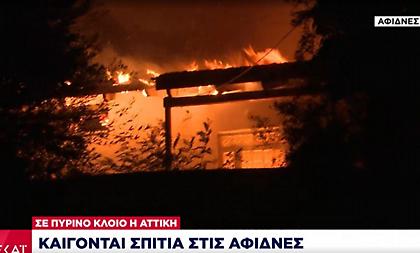 Πύρινος εφιάλτης: Καίγονται σπίτια στις Αφίδνες-Εκκενώνονται Καπανδρίτι, Πολυδένδρι, Πευκόφυτο