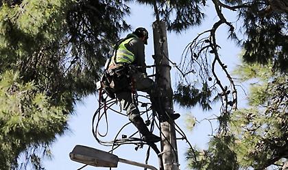 Πυρκαγιές Αττικής: Σε διακοπές ρεύματος προχωρά ο ΔΕΔΔΗΕ - Αναλυτικά οι περιοχές