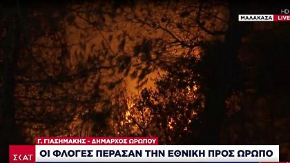 Δήμαρχος Ωρωπού σε ΣΚΑΪ: H Φωτιά πέρασε την Εθνική-Οικισμοί που εκκενώνονται