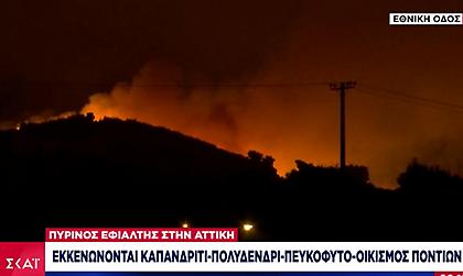 Καίγονται σπίτια στις Αφίδνες - Εκκενώνονται Καπανδρίτι, Πολυδένδρι, Πευκόφυτο, Οικισμός Ποντίων