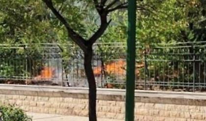 Δύο απόπειρες εμπρησμού στο Πεδίον του Άρεως – Συνελήφθη και ανακρίνεται ύποπτη