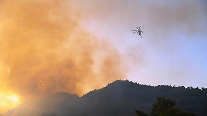 Ηλεία: Μεγάλο πύρινο μέτωπο στην περιοχή Νεμούτα -Έχει διακοπεί η κυκλοφορία