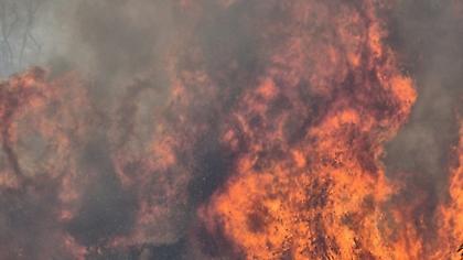 Κρήτη: Νέα φωτιά στις Γούρνες Ηρακλείου - Επιχειρούν επίγεια και εναέρια μέσα