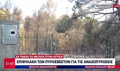 Σε ύφεση τα πύρινα μέτωπα στην Αττική- Σε επιφυλακή η Πυροσβεστική για αναζωπυρώσεις