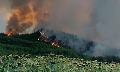 Εκτός ελέγχου η κατάσταση στην Εύβοια - Αναζωπυρώσεις σε πολλές περιοχές