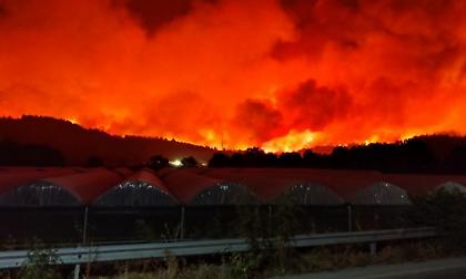 Σε πύρινο κλοιό η Εύβοια: Σκληρή δοκιμασία για Φαράκλα, Ροβιές και Λίμνη