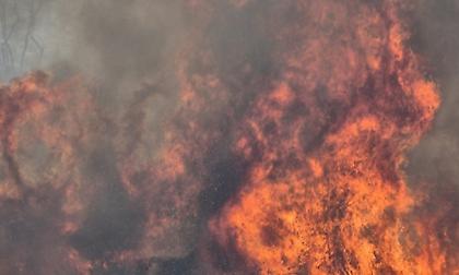 Ένα από τα πύρινα μέτωπα της Ηλείας πέρασε στην Αρκαδία