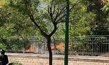 Κατηγορίες για πλημμέλημα στη γυναίκα που συνελήφθη για απόπειρα εμπρησμού στο Πεδίον του Άρεως