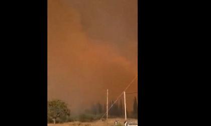 Μάχη με τις φλόγες στην Αρκαδία: Μεγάλη φωτιά στο χωριό Ίσαρη