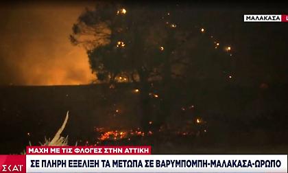 Πυρκαγιές- Αττική: Σε πλήρη εξέλιξη τα πύρινα μέτωπα σε Μαλακάσα, Ωρωπό, Βαρυμπόμπη