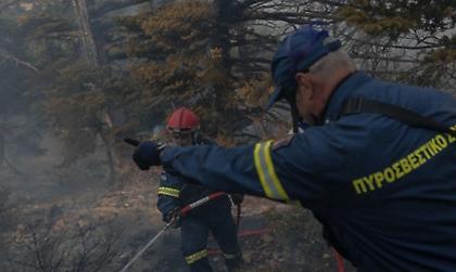 Πύρινος όλεθρος στην Πελοπόννησο: Μάχη με τα πύρινα μέτωπα σε Γορτυνία και Μεγαλόπολη