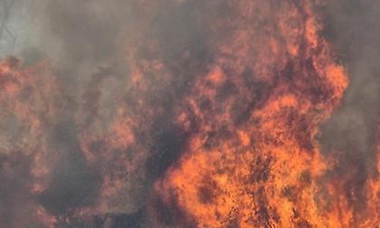 Πύργος: Επιχειρούν τα εναέρια πυροσβεστικά μέσα στα πύρινα μέτωπα της Ηλείας