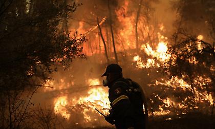 Εφιαλτική νύχτα στην Εύβοια: Συνεχείς οι αναζωπυρώσεις, μάχη για να μην φτάσει η φωτιά στην Ιστιαία