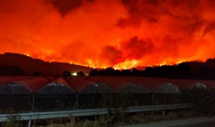 Ειδικά οχήματα για να συνδράμουν στην κατάσβεση στην Εύβοια στέλνει η Περιφέρεια Αττικής