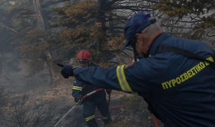 Καλή εικόνα εμφανίζει η πυρκαγιά στον δήμο Δεσκάτης