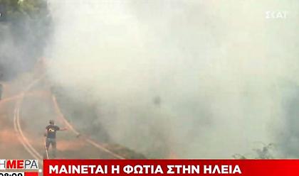 Ηλεία: Μαίνεται η φωτιά - Εναέρια πυροσβεστικά μέσα ξεκίνησαν να επιχειρούν