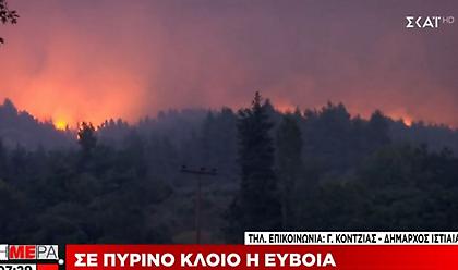 Δήμαρχος Ιστιαίας: «Ο δήμος περιμένει να ζήσει το ολοκαύτωμα του»
