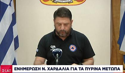 Χαρδαλιάς: Δύσκολη η κατάσβεση στην Εύβοια λόγω ανέμου