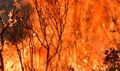Ηράκλειο: Σε ύφεση η πυρκαγιά στον Άγιο Θωμά, στον δήμο Γόρτυνας