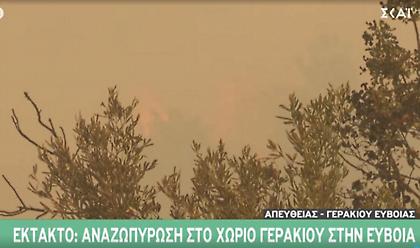 Πυρκαγιές-Εύβοια: Αναζωπύρωση στο χωριό Γερακιού