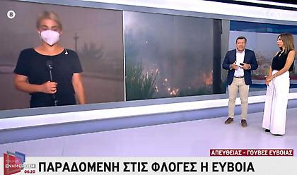 Εύβοια: Μάχη με τις αναζωπυρώσεις σε Γούβες και Αρτεμίσιο