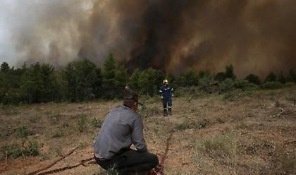 Τρίπολη: Αναζωπυρώσεις σε περιοχές της Γορτυνίας και στο Λιβαδάκι