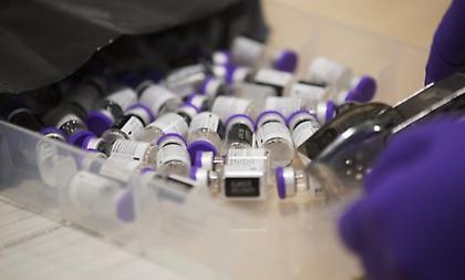 Γουϊνέα: Πρώτο κρούσμα του θανατηφόρου μολυσματικού ιού Μάρμπουργκ