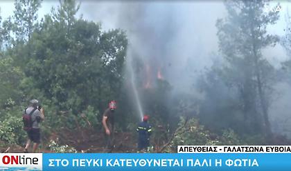 Εύβοια: Ξανά στο Πευκί η φωτιά - Μάχη με τα πύρινα μέτωπα