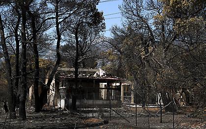 Φωτιές στην Αττική: Σε εξέλιξη οι έλεγχοι κτιρίων στις πυρόπληκτες περιοχές