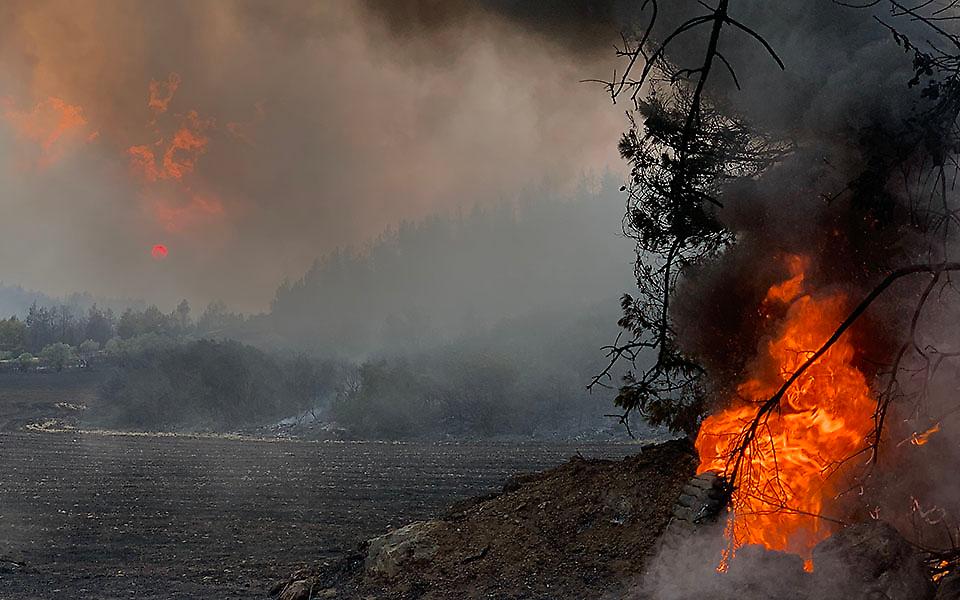 Σταϊκούρας: Στις αρχές της επόμενης εβδομάδας θα ανοίξει η πλατφόρμα arogi.gov.gr