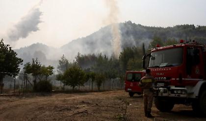 Νέα φωτιά στην Αρχαία Ολυμπία - Τι είπε ο δήμαρχος