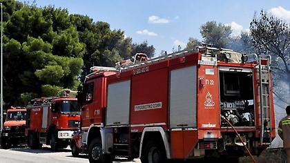 Κομοτηνή: Πάνω από 100 στρέμματα δασικής έκτασης έκαψε η φωτιά στη Νυμφαία