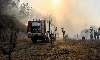 Πυρκαγιά-Βίλια: Μάχη με τις διάσπαρτες εστίες και τις αναζωπυρώσεις