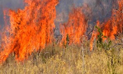 Συνελήφθησαν μια 29χρονη και ένας 54χρονος για εμπρησμούς