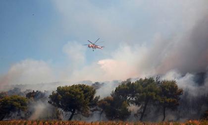 Φωτιά στα Βίλια: Σε δύσβατο σημείο η πυρκαγιά – Μάχη από επίγειες και εναέριες δυνάμεις