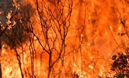 Νύχτα αγωνίας για το πύρινα μέτωπα σε Βίλια και Κερατέα