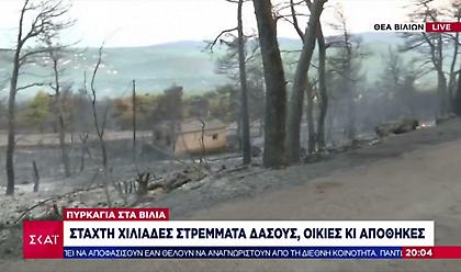 Βίλια: Σε 3 μέτωπα η μάχη με τις φλόγες- Εκτιμήσεις του Αστεροσκοπείου για την πύρινη μανία