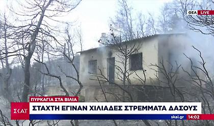 Βίλια: Ανεξέλεγκτη η φωτιά προς το Πεδίο Βολής Μεγάρων- Κάηκαν κτίσματα εκτός οικισμών